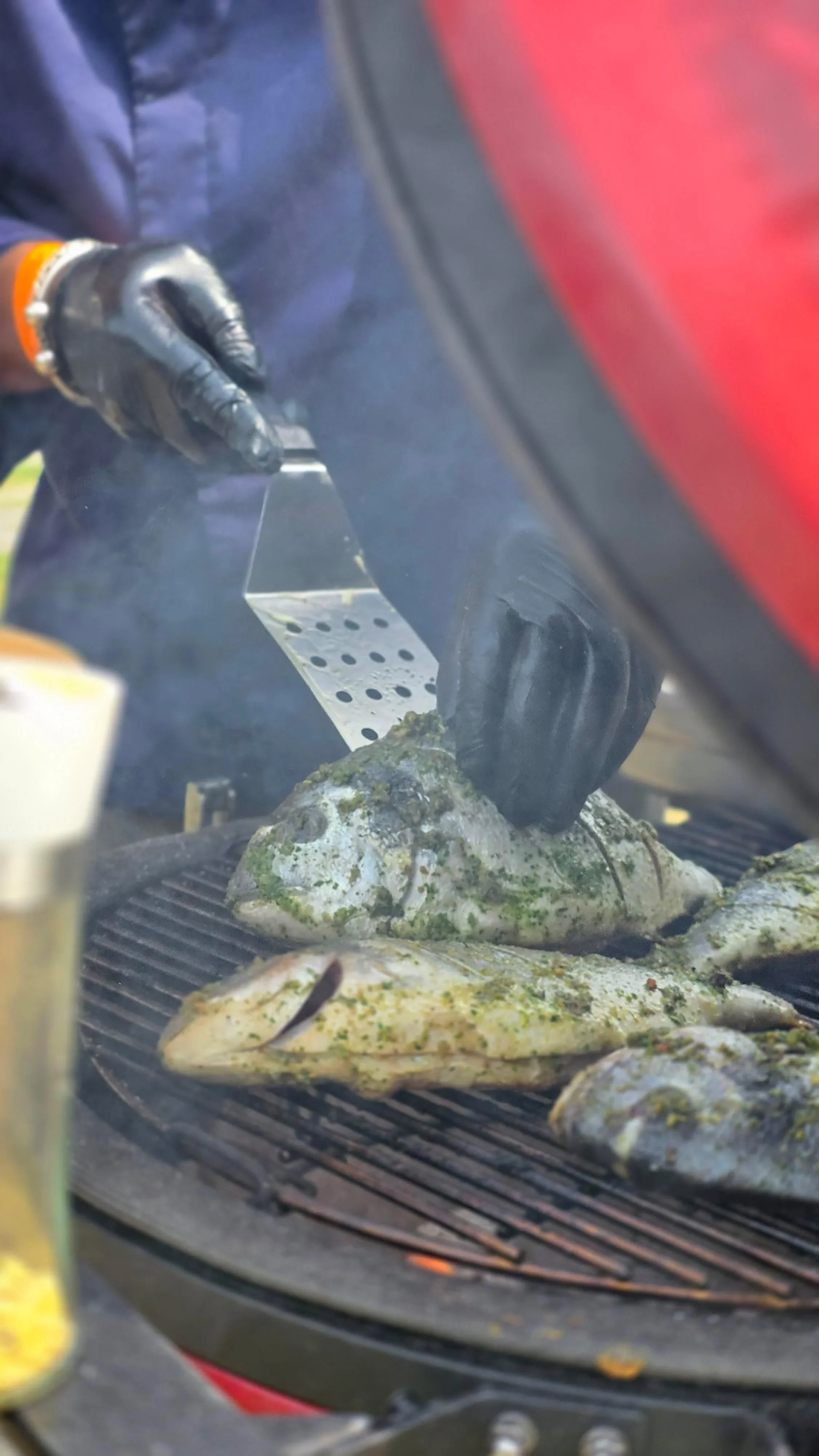 Vis Grill